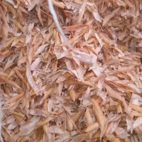 کاه لوبیا|عمدهفروشی|شهرکرد, |دیوار