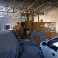 کود گاوی گوسفندی قارچی خاک ماسه بادی