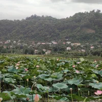 زمین نزدیک لاهیجان ۳ بر ویو ابدی دریاچه