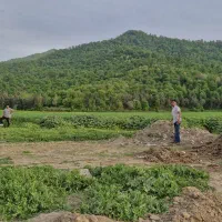 فروش زمین در قرق،  فردوس 22 بافت شهری