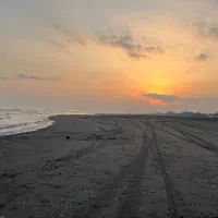 بلیت سپه