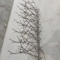 حفاظ‌بوته‌ای‌