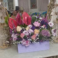 گل طبیعی|گل و گیاه طبیعی|کرمانشاه, |دیوار