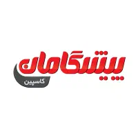 اینترنت پیشگامان