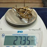 خرید طلای کارکرده شما|جواهرات|کرج, گوهردشت|دیوار