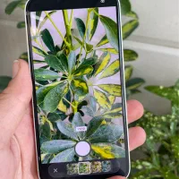 آیفون 13 نرمال حافظه ۲۵۶گیگ|موبایل|نیشابور, هفده شهریور|دیوار