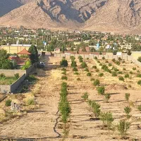 باغ شهری سیاخ دارنگون