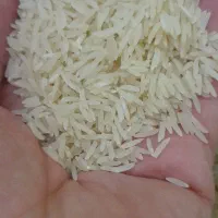 برنج فجر مجلسی شمالی     اصفهان کارت  کالابرگ ازاد|خوردنی و آشامیدنی|اصفهان, رزمندگان|دیوار