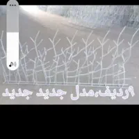 حفاظ روی دیوار|خدمات پیشه و مهارت|مشهد, الهیه|دیوار