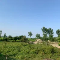 250و200و350زمین-فروش-زمین