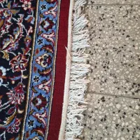 فرش۱۲متری|فرش|شاهرود, |دیوار