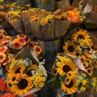 متقاضی کرایه مغازه در سنقر