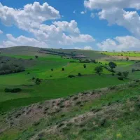 ۱۷۳۰۰ متر زمین باغی دیلمان تهاتربا خانه و خودرو|فروش زمین و ملک کلنگی|تهران, حبیب الله|دیوار