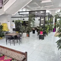 نیرو برا کافه رستوران آقا یا خانم فقط،کار بلد باشه