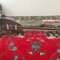 ساز برقی و فلانجر|سازهای بادی|پیرانشهر, |دیوار