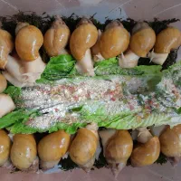 حلزون آچاتینا آلبینو