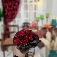 عکاسی فضای باز و آتلیه|خدمات پذیرایی، مراسم|اصفهان, مفتح|دیوار