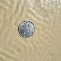 سکه قدیمی کلکسیونی