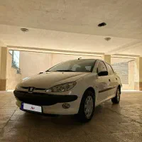 ۲۰۶ sd v8 بی رنگ