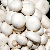 کارگر ساده با جای خواب