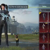 account PUBG mobile level 74
