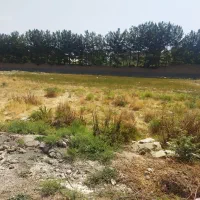 زمین ملکی 600متر بلوار توس 117|فروش زمین و ملک کلنگی|مشهد, صیدآباد|دیوار