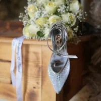 عکاسی و فیلمبرداری حرفه ای مجالس