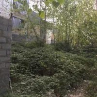 فروش‌ زمین در استقامت دوم (زیرقیمت)|فروش زمین و ملک کلنگی|رشت, استقامت ۲|دیوار