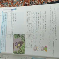 فروش طلا