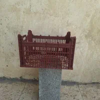 سبد میوه|ظروف نگهدارنده، پلاستیکی، یک‌بارمصرف|رباط‌کریم, رباط‌کریم|دیوار
