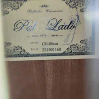 فروش گیتار پالادو آکبند