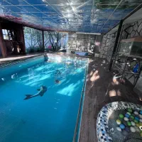 اجاره روزانه ّباغ ویلای چوبی تریبلکس مدرن