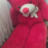 خرس یک مترو نیم