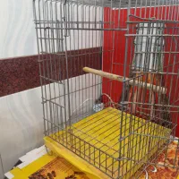 قفس طوطی بسیار سنگین صحیح سالم|لوازم جانبی حیوانات|اردبیل, |دیوار