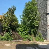 فروش زمین به مساحت ۱۷۲ متر فوری فوری به علت مهاجرت|فروش زمین و ملک کلنگی|ساری, |دیوار