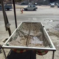 فورشی