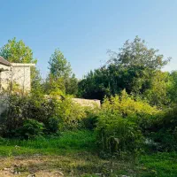 زمین کاملا مسکونی مسیر لشت نشا به استانه