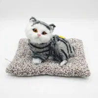 گربه خوابیده روی فرش موزیکال