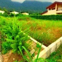 زمین ویو ابدی به کوه جنگل عیانی نشین قیمت کل و زدم