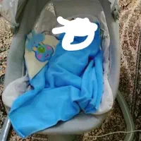 گهواره برقی ماستلا