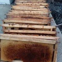 لوازم زنبورداری دست دو