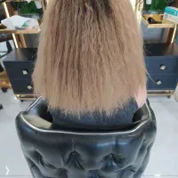 نیازمند مدل همین هفته