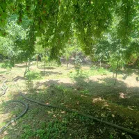 اوشان-800-متر-زمین-سرمایه-گذاری-AMLAK-ARIYANA