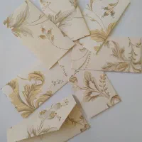 پاکت پول و سکه زیبا و شیک دربسته ها۱۰۰تایی|لوازم التحریر|زنجان, |دیوار