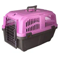 باکس سگ صورتی