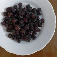 آلبالو محصول امسال