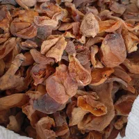 زرد آلو خشک|خوردنی و آشامیدنی|ایجرود, |دیوار