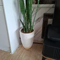 دفتر-کار-تجاری