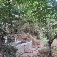 تهاتر و معاوضه باغ در بهترین موقیعت با اپارتمان|فروش زمین و ملک کلنگی|کرج, محمود آباد|دیوار