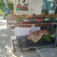 دکور میوه فروشی همچی کامل|کافی‌شاپ و رستوران|شیراز, رازی|دیوار
